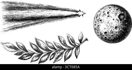 Ensemble d'illustrations célestes gravées représentant une trace de comète et une lune pour un design rétro. Illustration de Vecteur