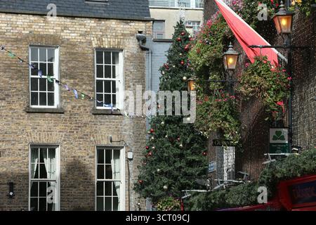 Dublin, Irlande - 03 octobre 2025 - Un grand arbre de Noël avec des décorations se lève tôt sur le côté du pub Temple Bar dans le centre-ville de Dublin par un après-midi humide début octobre Banque D'Images