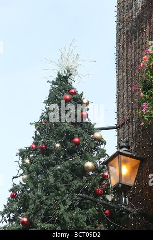 Dublin, Irlande - 03 octobre 2025 - Un grand arbre de Noël avec des décorations se lève tôt sur le côté du pub Temple Bar dans le centre-ville de Dublin par un après-midi humide début octobre Banque D'Images