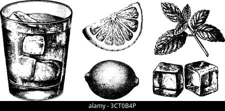 Ensemble gravé de verre de mojito, de citron vert, de feuilles de menthe et de glaçons pour un design rétro de boisson. Illustration de Vecteur
