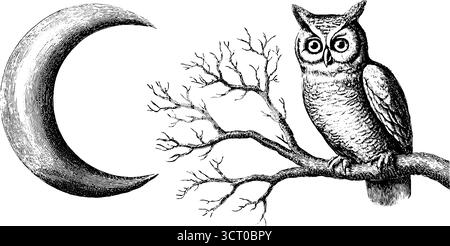 Ensemble d'illustrations gravées avec hibou sur branche et croissant de lune pour un design rétro. Illustration de Vecteur