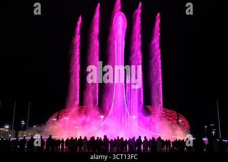 Sotchi, Russie - 20 janvier 2025 : chanter des fontaines musicales avec Bowl de l'oiseau de feu de flamme olympique à Sotchi la nuit, Parc olympique, Russie. Fisht Oly Banque D'Images