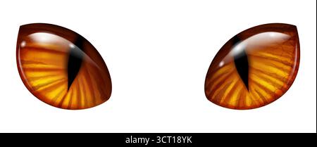 Une paire d'yeux félins stylisés avec des pupilles fendues verticales, dans des tons riches ambre et or sur un fond blanc. Les iris affichent des textures complexes, w Illustration de Vecteur