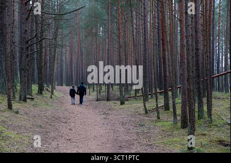 Petites figures de l'homme et de l'enfant marchant dans une grande forêt de pins un jour nuageux Banque D'Images