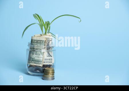 Pot en verre avec germe, pièces de monnaie et dollars sur fond bleu clair, espace pour le texte Banque D'Images