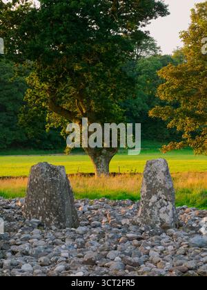 Lumière dorée du soir d'été au cercle de pierre méridional de Temple Wood, Kilmartin Glen, Argyll Banque D'Images