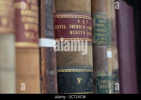 Battersea Reference Library est une bibliothèque de référence dans un bâtiment classé Grade II à Altenburg Gardens, Battersea, Londres, Angleterre Banque D'Images