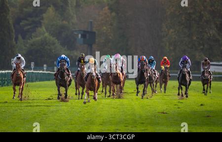 Paris, France, samedi 4 octobre 2025 ; consentement et jockey Luke Morris remportent le Groupe 1 Qatar Prix de Royallieu pour l’entraîneur Sir Mark Prescott et le propriétaire Denford Stud Crédit JTW Equine images / Alamy Live News. Banque D'Images