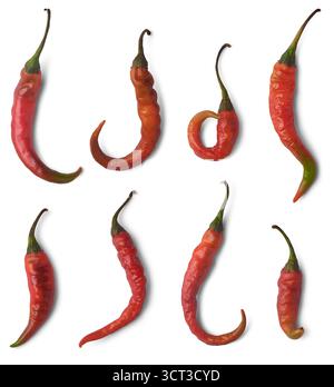 ensemble de piments longs rouges et oranges mûrs vibrants, ingrédient alimentaire chaud, fond blanc isolé, gros plan avec des ombres Banque D'Images