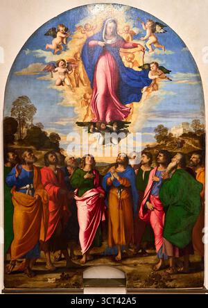 JACOPO NEGRETTI connu sous le nom de PALMA il VECCHIO (Serina, 1480 circa - Venezia, 1528), Assunzione della Vergine, L'Assomption de la Vierge, 1513, Gallerie Banque D'Images