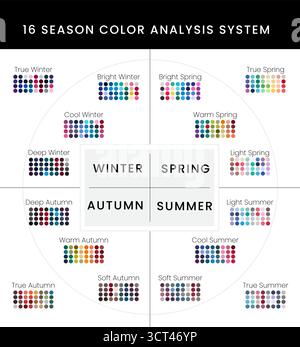 Palettes de système d'analyse des couleurs 16 saisons pour les types froid, profond, lumineux et vrai hiver, lumineux, chaud, printemps léger, automne doux et été Illustration de Vecteur