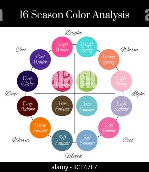 Illustration d'analyse des couleurs de la saison 16 pour les types froid, profond, lumineux et vrai hiver, lumineux, chaud, printemps léger, automne doux et été Illustration de Vecteur