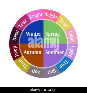 Roue de couleur pour 16 saisons système d'analyse des couleurs pour les types été, hiver, automne et printemps Illustration de Vecteur