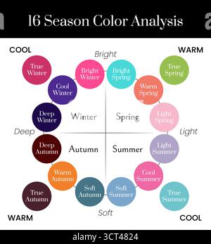Illustration d'analyse des couleurs de la saison 16 pour les types froid, profond, lumineux et vrai hiver, lumineux, chaud, printemps léger, automne doux et été Illustration de Vecteur