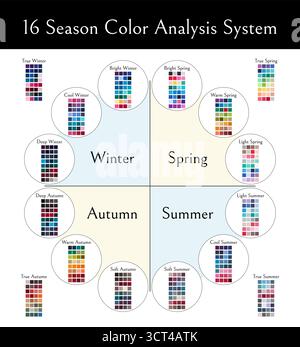 16 Season Color Analysis System Chart pour les types froid, profond, lumineux et vrai hiver, lumineux, chaud, léger printemps, doux automne et été Illustration de Vecteur