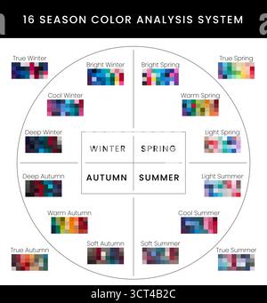 Palettes d'analyse des couleurs 16 saisons pour les types froid, profond, lumineux et vrai hiver, lumineux, chaud, printemps léger, automne doux et été Illustration de Vecteur