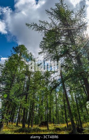 De Cervinia à Cheneil, une charmante ville de la commune de Valtournenche Banque D'Images