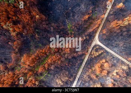 Après la vue aérienne incendie Banque D'Images