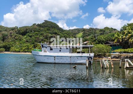 Isla de Roatan, Honduras - 16 avril 2024 : un petit bateau est amarré sur l'île de Roatan, Honduras. Banque D'Images