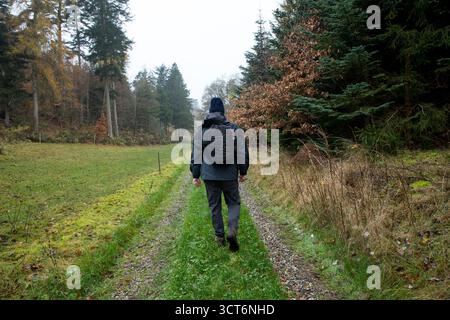 homme en vêtements d'hiver gris marchant sur un chemin dans le chemin forestier d'automne Banque D'Images