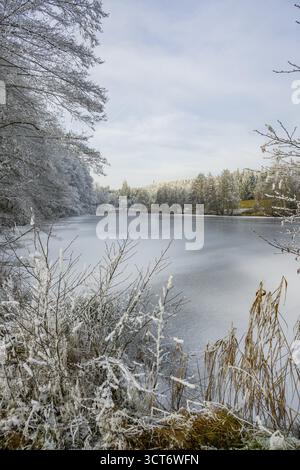 Un pont gelé dans une vallée entourée d'une forêt mixte avec épicéa de norvège (Picea abies) et hêtre européen (Fagus sylvatica) blanc de roarfrost, on Banque D'Images