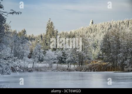Un pont gelé dans une vallée entourée d'une forêt mixte avec épicéa de norvège (Picea abies) et hêtre européen (Fagus sylvatica) blanc de roarfrost, on Banque D'Images