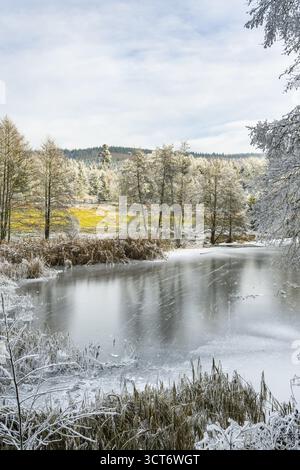 Un pont gelé dans une vallée entourée d'une forêt mixte avec épicéa de norvège (Picea abies) et hêtre européen (Fagus sylvatica) blanc de roarfrost, on Banque D'Images