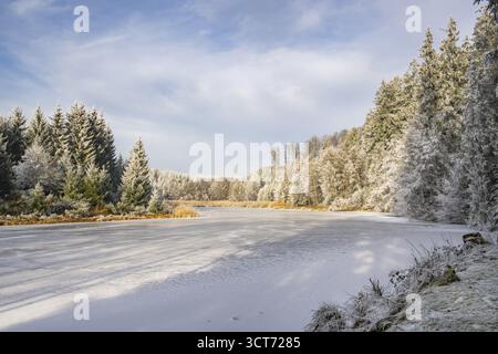 Un pont gelé dans une vallée entourée d'une forêt mixte avec épicéa de norvège (Picea abies) et hêtre européen (Fagus sylvatica) blanc de roarfrost, on Banque D'Images
