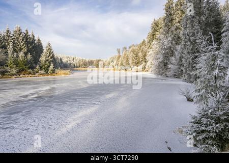 Un pont gelé dans une vallée entourée d'une forêt mixte avec épicéa de norvège (Picea abies) et hêtre européen (Fagus sylvatica) blanc de roarfrost, on Banque D'Images