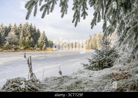 Un pont gelé dans une vallée entourée d'une forêt mixte avec épicéa de norvège (Picea abies) et hêtre européen (Fagus sylvatica) blanc de roarfrost, on Banque D'Images
