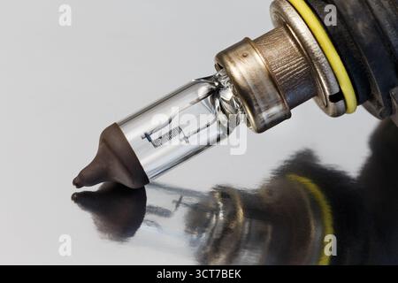 Ampoule de phare halogène de voiture gros plan sur surface métallique avec réflexion Banque D'Images