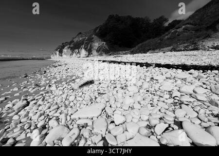 Vue sur les falaises Sewerby et l'Foreshore, village Sewerby, East Riding of Yorkshire, Angleterre, Royaume-Uni Banque D'Images
