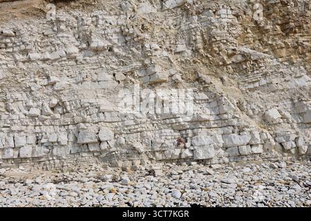 Vue sur les falaises Sewerby et l'Foreshore, village Sewerby, East Riding of Yorkshire, Angleterre, Royaume-Uni Banque D'Images