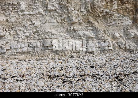 Vue sur les falaises Sewerby et l'Foreshore, village Sewerby, East Riding of Yorkshire, Angleterre, Royaume-Uni Banque D'Images