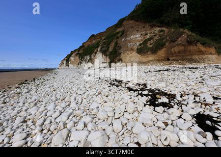 Vue sur les falaises Sewerby et l'Foreshore, village Sewerby, East Riding of Yorkshire, Angleterre, Royaume-Uni Banque D'Images