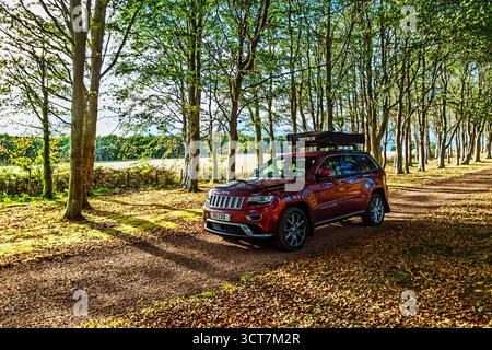 Voiture 4x4 avec tente de toit sur la route forestière d'automne, Tyninghame House, rivière Tyne, East Lothian, Écosse, ROYAUME-UNI Banque D'Images