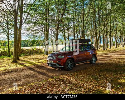 Voiture 4x4 avec tente de toit sur la route forestière d'automne, Tyninghame House, rivière Tyne, East Lothian, Écosse, ROYAUME-UNI Banque D'Images