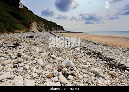 Vue sur les falaises Sewerby et l'Foreshore, village Sewerby, East Riding of Yorkshire, Angleterre, Royaume-Uni Banque D'Images