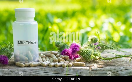 Suppléments de chardon Marie dans la nature. Mise au point sélective. Nature. Banque D'Images