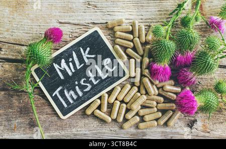 Suppléments de chardon Marie dans la nature. Mise au point sélective. Nature. Banque D'Images