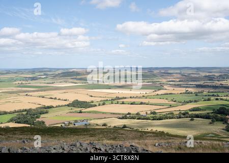 Paysage agricole vallonné avec des champs patchwork dans la campagne du Northumberland Banque D'Images