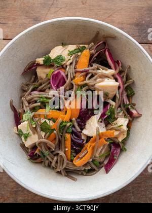 Gros plan d'une salade de nouilles soba vibrante et nutritive avec du poulet, des légumes et des herbes fraîches dans un bol en céramique. Banque D'Images