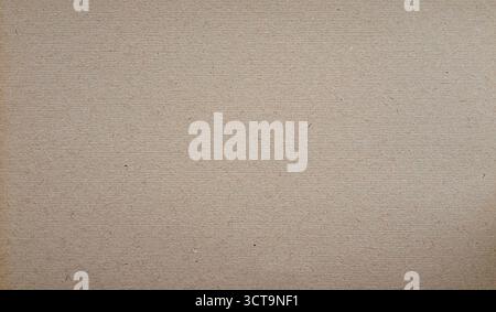 Surface en carton brun neutre pour la conception de fond, l'emballage et la photographie de produit Banque D'Images