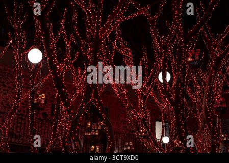 Lumières rouges ornementales sur les branches d'arbres. Mexico, Mexique. Banque D'Images