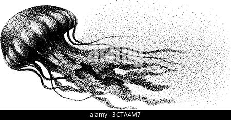 Illustration pointillée complexe d'une méduse flottant gracieusement. Illustration de Vecteur