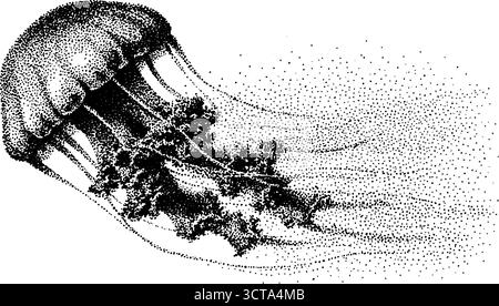 Illustration pointillée complexe d'une méduse flottant gracieusement. Illustration de Vecteur
