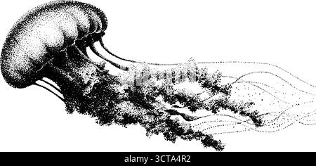 Illustration détaillée en pointillés d'une méduse flottant sous l'eau. Illustration de Vecteur