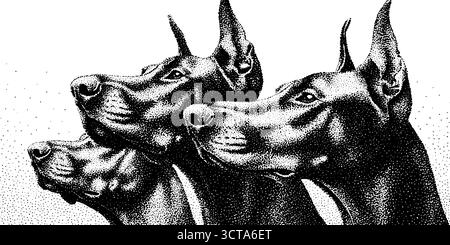 Illustration pointillée complexe de canine à trois têtes - conception de gravure pour des projets artistiques. Illustration de Vecteur