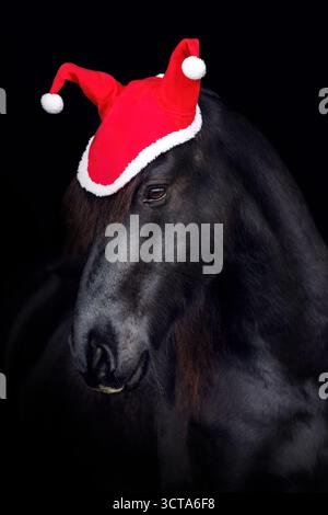 Cheval frison drôle portant des bois de Noël et une couronne festive posant sur fond noir Banque D'Images