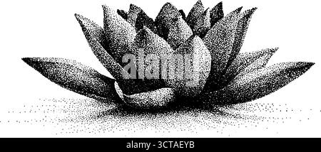 Illustration complexe de pointillés de dotwork d'un lotus flottant pour l'art et le design. Illustration de Vecteur